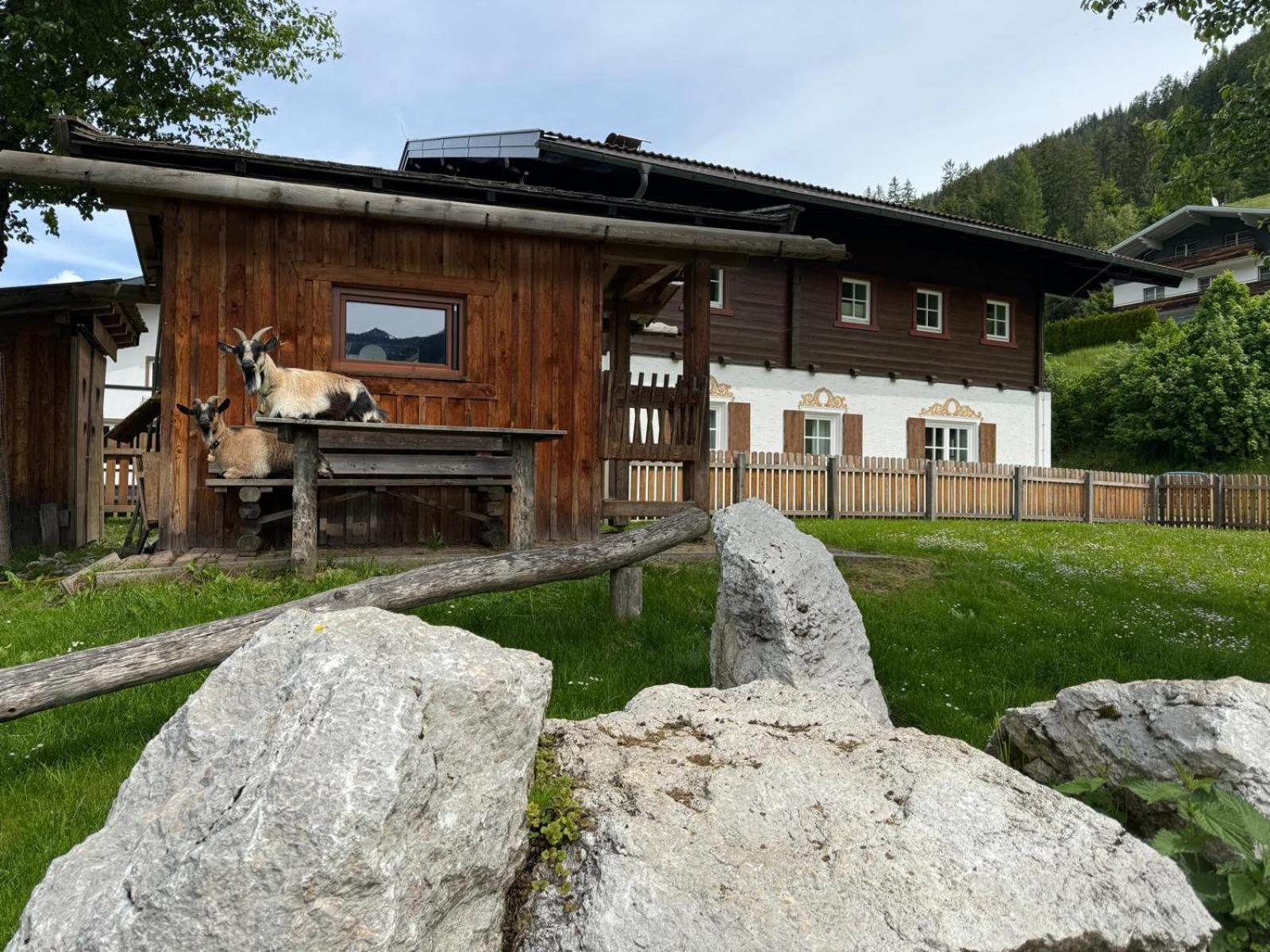 Appartements Zahnleiten Untertauern Exteriör bild